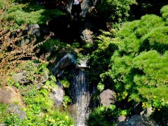 Tokyo - jardin palais impérial