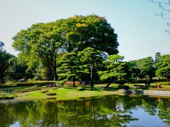 Tokyo - jardin palais impérial