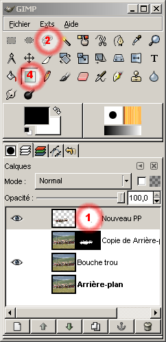 Sel dégragdé